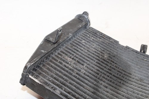 2003 Honda Cbr600rr Engine Radiator Motor Cooler Cooling Radiater