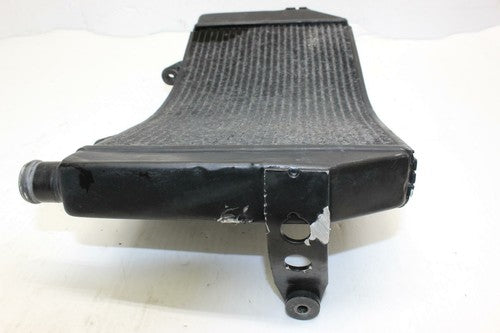 1995 Honda Cbr600f3 Engine Radiator Motor Cooler Cooling Radiater 19010-mal-601