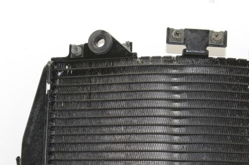 02-05 Kawasaki Zzr1200 Engine Radiator Motor Cooler Cooling Radiator OEM