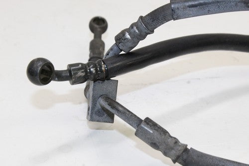 2001-03 Honda Cbr600f4i Front Brake Caliper Hoses Lines 45125-mbw-003 OEM