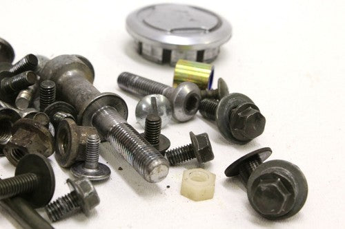 2001-2005 Yamaha Fz1 Engine Mounting BOLTS Hardware Motor Screws OEM