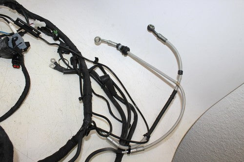 2014 Aprilia Rsv4 R 1100 Factory Main Engine Wiring Harness With Brake Hoses