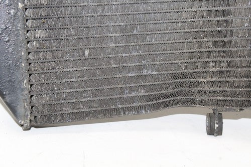 1999 Honda Cbr600f4 Engine Radiator Motor Cooler Cooling 19010-mbw-671 OEM