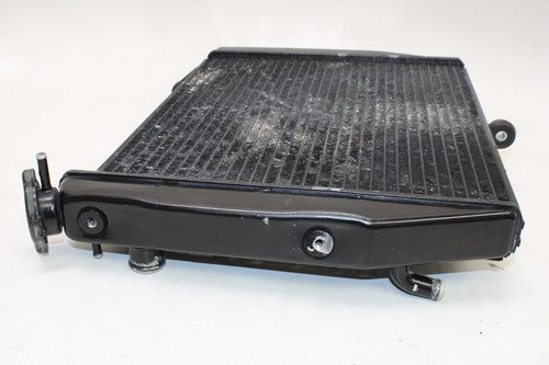 2002-03 Yamaha Yzf R1 Engine Radiator Motor Cooler Cooling OEM