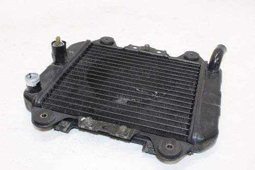 88-07 Kawasaki Ninja 250r Ex250f Engine Radiator Motor Cooler Cooling OEM