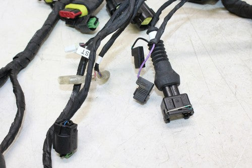 2013 Ducati Monster 796 Main Engine Wiring Harness Motor Wire Loom