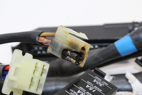 2000 Cagiva Gran Canyon 900 Main Engine Wiring Harness Motor Wire Loom OEM