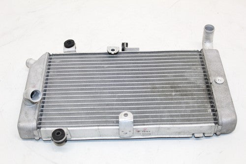 2007 Honda Silver Wing 600 Fsc600 Engine Radiator Motor Cooling Radiater OEM