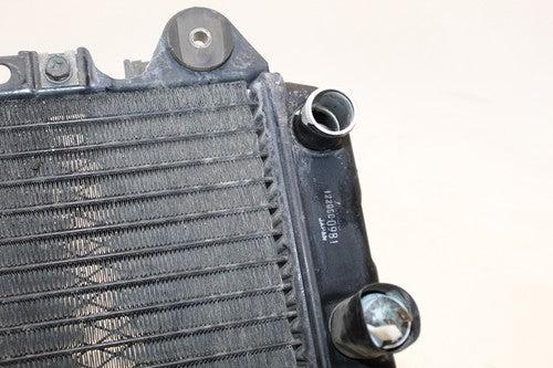 2007 Kawasaki Ninja 250r Ex250f Engine Radiator Motor Cooler Cooling Radiater