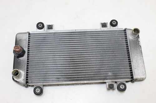 08-12 Kawasaki Ninja 250r Ex250j Engine Radiator Motor Cooler Cooling OEM