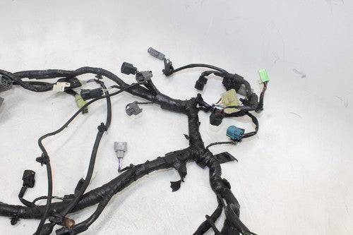 2013-17 Kawasaki Ninja 300 Ex300a Main Engine Wiring Harness Motor Wire Loom OEM