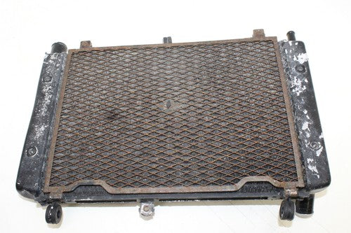 2004 01-05 Yamaha Fz1 Fazer Engine Radiator Motor Cooler Cooling Radiater OEM