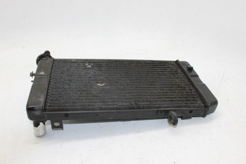 2005 Suzuki Vstrom 1000 Dl1000 Engine Radiator Motor Cooler Cooling Radiater OEM