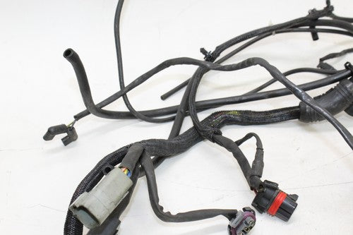 2005 Harley-davidson Sportster 883 Xl883l Main Engine Wiring Harness Motor OEM