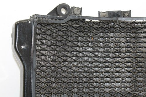 02-05 Kawasaki Zzr1200 Engine Radiator Motor Cooler Cooling Radiator OEM