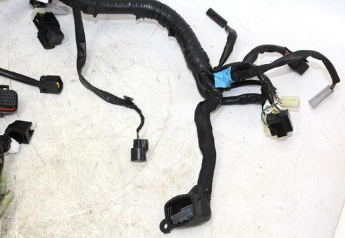 2015 Yamaha Fz09 Main Engine Wiring Harness Motor Wire Loom