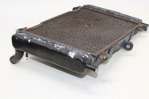 2004 01-05 Yamaha Fz1 Fazer Engine Radiator Motor Cooler Cooling Radiater OEM