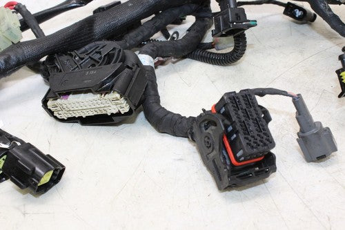 2013 Ducati Monster 796 Main Engine Wiring Harness Motor Wire Loom