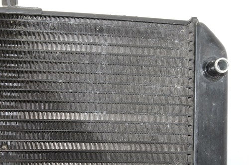 2003-2005 Yamaha Fjr1300 Engine Radiator MOTOR Cooler Cooling Radiater OEM