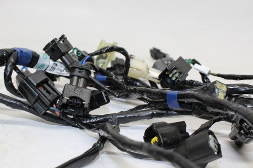 2016 Triumph Speed Triple R Abs Main Engine Wiring Harness Motor Wire LOOM OEM