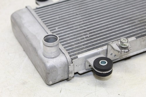 2013 Kawasaki Ninja 300 Ex300b Abs Engine Radiator Motor Cooler Cooling Radiater