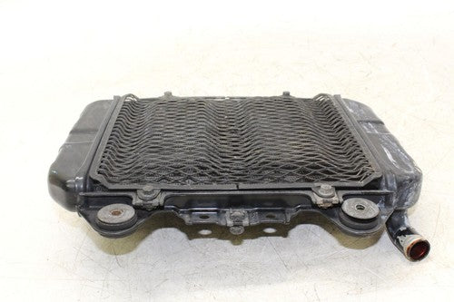 2004 Kawasaki Ninja 250r Ex250f Engine Radiator Motor Cooler Cooling Radiater