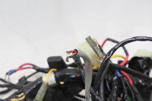 86-06 Kawasaki Concours Zg1000a Main Engine Wiring Harness Motor Wire Loom OEM