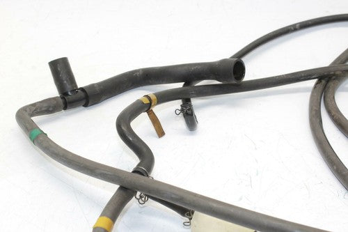 02-05 Kawasaki Zzr1200 EVAP Vapor Charcoal Emission Canister OEM