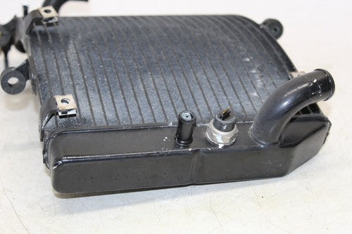 00 2000 Honda Cbr600f4 Engine Radiator Motor Cooler Cooling Radiater