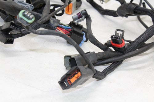 2005 Harley-davidson Sportster 883 Xl883l Main Engine Wiring Harness Motor OEM