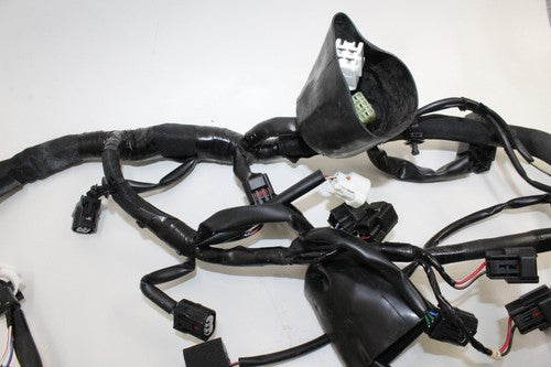 2019-21 Kawasaki Ninja Zx6r Zx636 Main Engine Wiring Harness Motor Wire Loom OEM