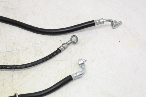 2019 Suzuki Gsxr750 Rear Back Front Brake Hose Fluid Line Set