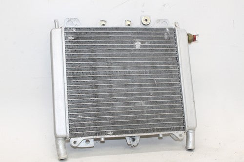 2007 Piaggio Bv 250 Engine Radiator Motor Cooler Cooling Radiater OEM
