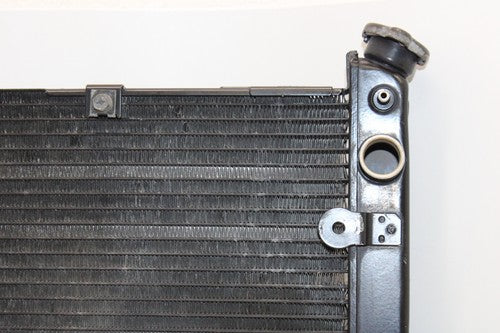 2002-03 Yamaha Yzf R1 Engine Radiator Motor Cooler Cooling OEM