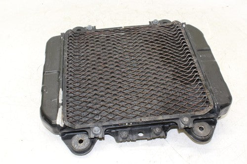 2006 Kawasaki Ninja 250r Ex250f Engine Radiator Motor Cooler Cooling Radiater