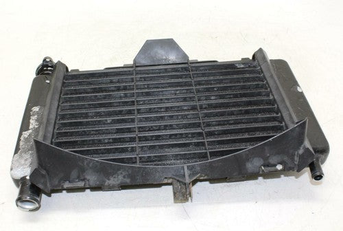 04-09 Yamaha Fz6 Engine Radiator Motor Cooler Cooling Radiater OEM
