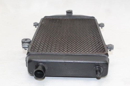 2006 Kawasaki Vulcan 900 Vn900b Classic Engine Cooler Cooling Radiator OEM