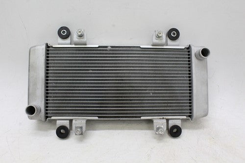 2013 Kawasaki Ninja 300 Ex300a Engine Radiator Motor Cooler Cooling Radiater