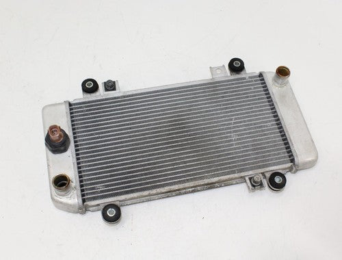 2011 Kawasaki Ninja 250r Ex250j Engine Radiator Motor Cooler Cooling Radiater