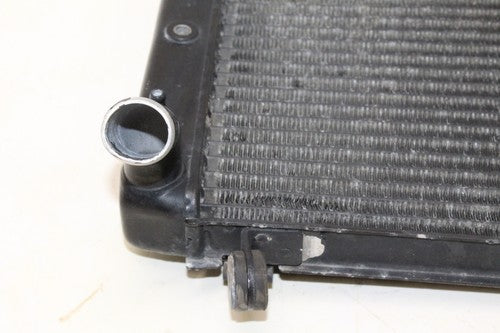 2004 01-05 Yamaha Fz1 Fazer Engine Radiator Motor Cooler Cooling Radiater OEM