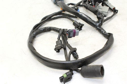 2007 Harley Davidson Electra Road Main EFI Fuel Injection Wiring Harness