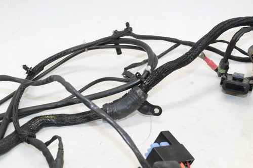 2005 Harley-davidson Sportster 883 Xl883l Main Engine Wiring Harness Motor OEM