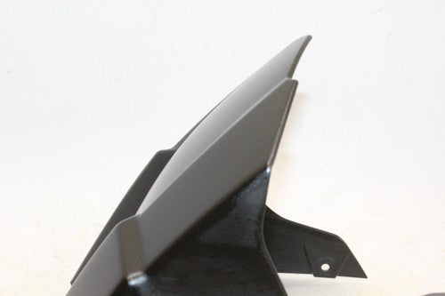 2019 Kawasaki Z900 Rear Back Fender Mud Guard