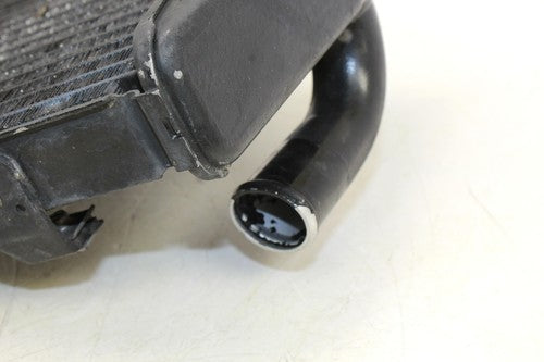 2002 Honda Cbr954rr Engine Radiator Motor Cooler Cooling Radiater