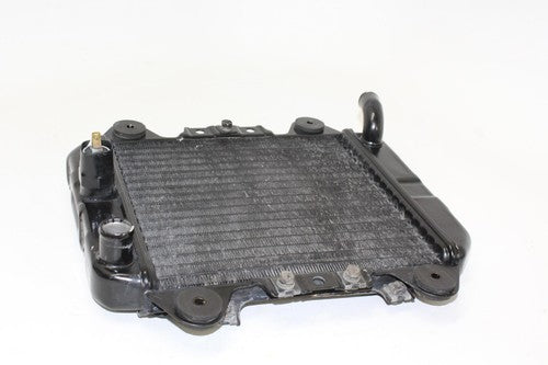 2006 Kawasaki Ninja 250r Ex250f Engine Radiator Motor Cooler Cooling Radiater