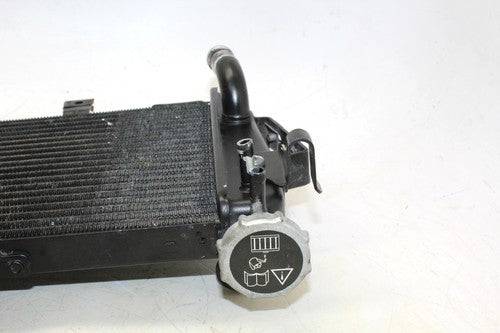 2009 Triumph Tiger Engine Radiator Motor Cooler Cooling Radiater