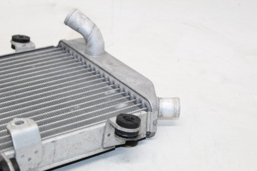 2007 Honda Silver Wing 600 Fsc600 Engine Radiator Motor Cooling Radiater OEM