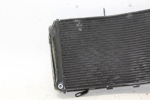 11-13 Yamaha Fz8 Engine Radiator Motor Cooler Cooling Radiater OEM