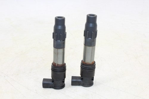 2013 Kawasaki Ninja 300 Ex300a Ignition Coils Coil Spark Plug Caps