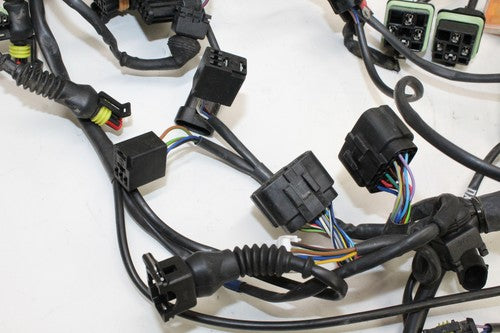 2000 Cagiva Gran Canyon 900 Main Engine Wiring Harness Motor Wire Loom OEM